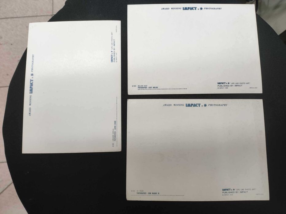 Postais Photo vintage da Impact 18 x 13 cm print in japan raros