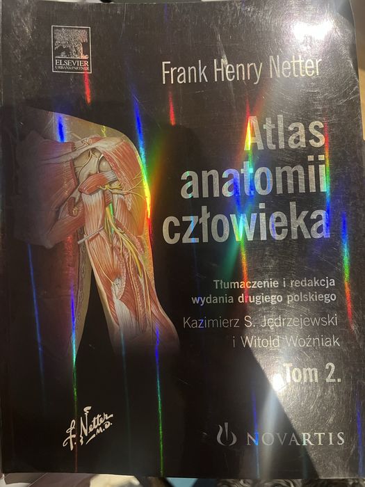 Atlas anatomii Nettera tom2