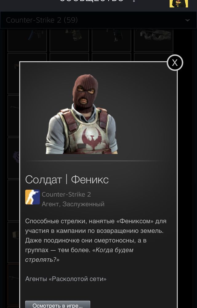 Скины кс 2 cs go skins cs2