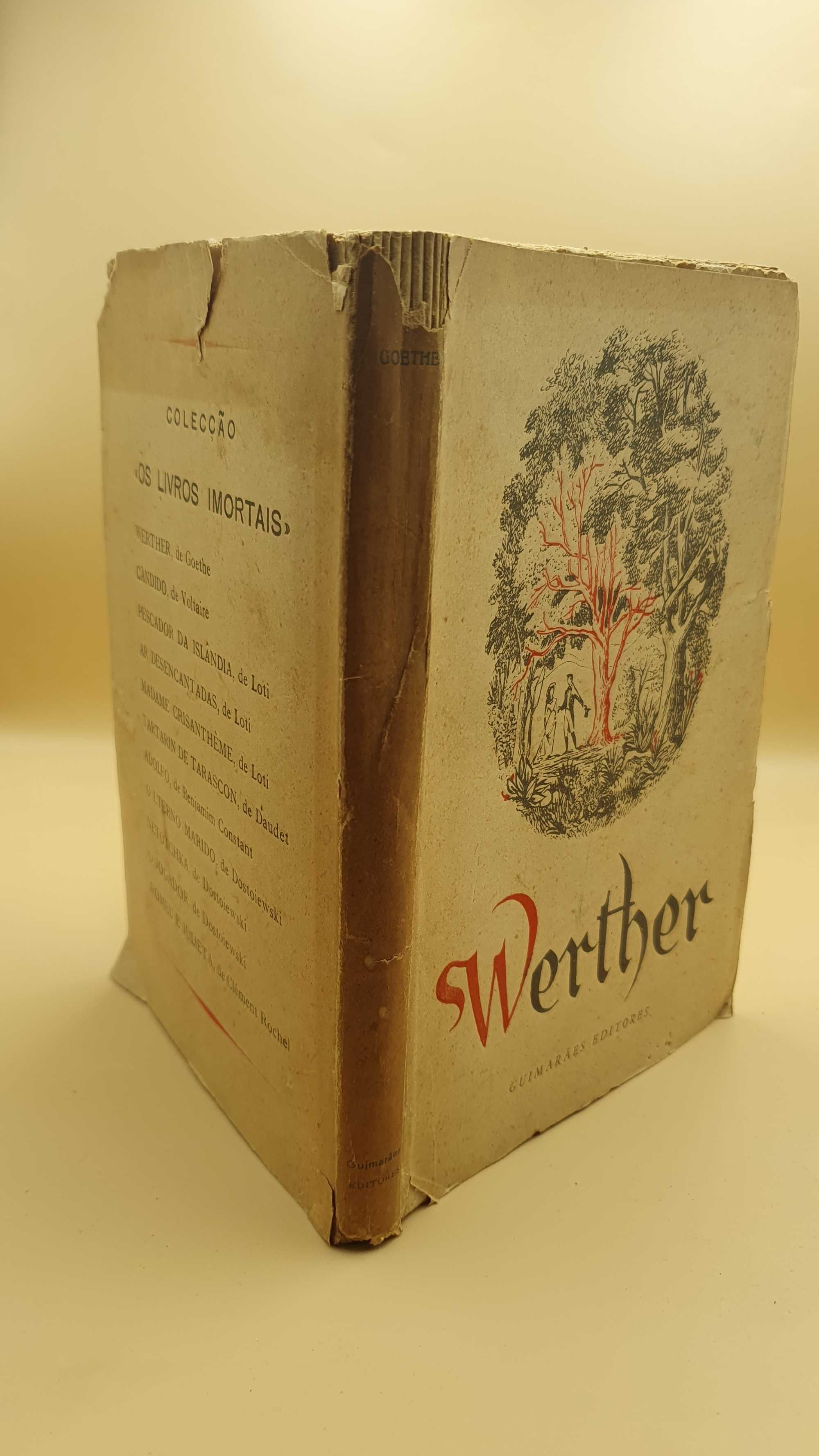 Livro - REF PA6 - Goethe - Werther