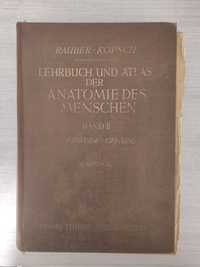 Lehrbuch und Atlas der Anatomie des Medschen von Dr. Fr.Kopsch, Band 2