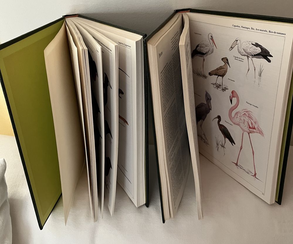 Enciclopédia de Animais 2 livros