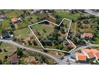 Terreno Residencial de 7013m² com Casa em Ruína em Ponte de Lima