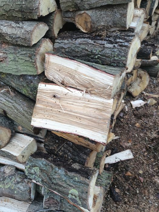 Drewno kominkowe dębowe .