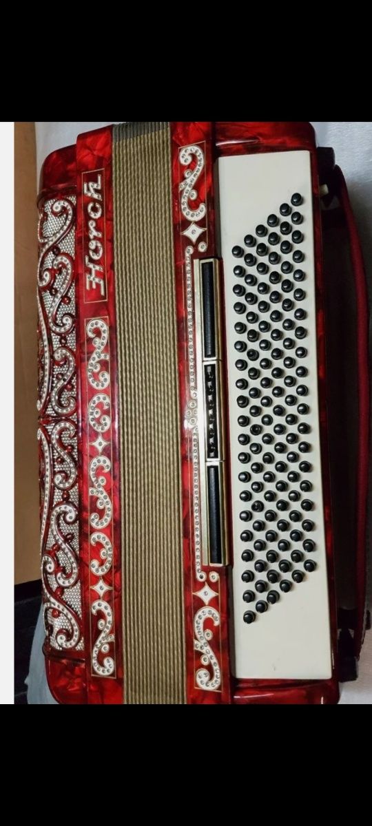Akordeon 120 basów