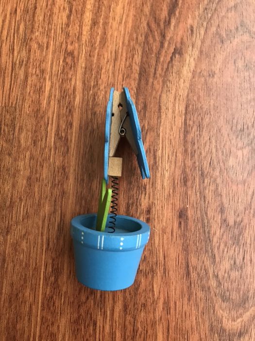 Flor Azul para segurar Fotografias