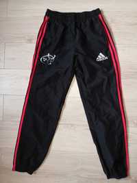 Sportowe spodnie / Adidas / roz. M