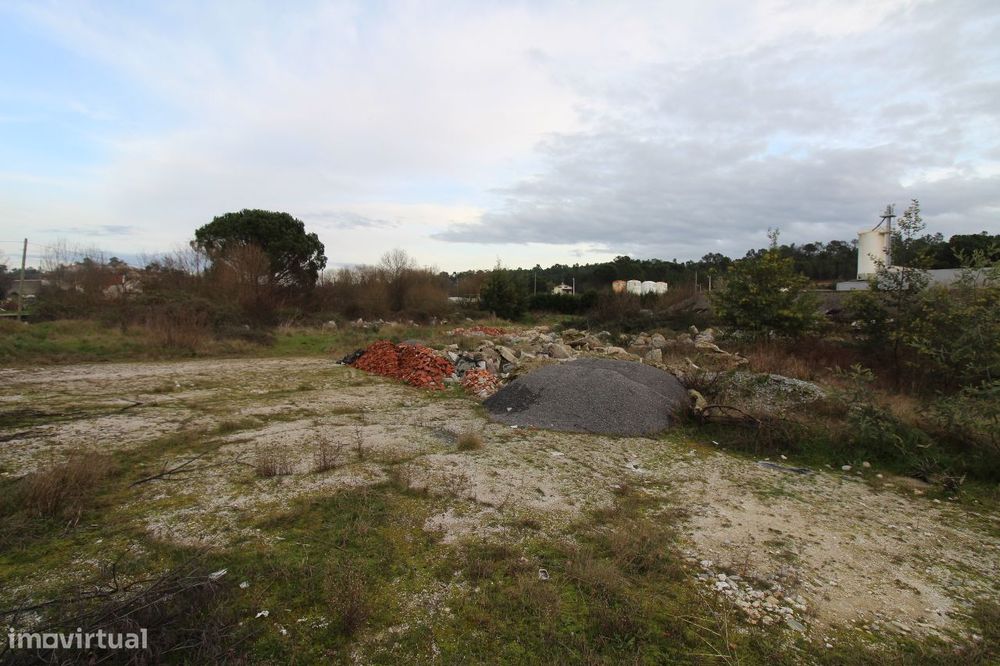 Terreno com 1 Hectare e Armazém