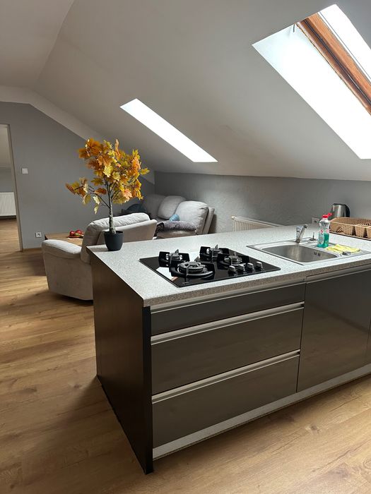 Do wynajęcia przytulne mieszkanie w domu jednorodzinnym