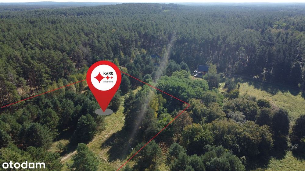 Piękna działka z MPZP spokojna okolica, lasy i jeziora, Silna/Pszczew