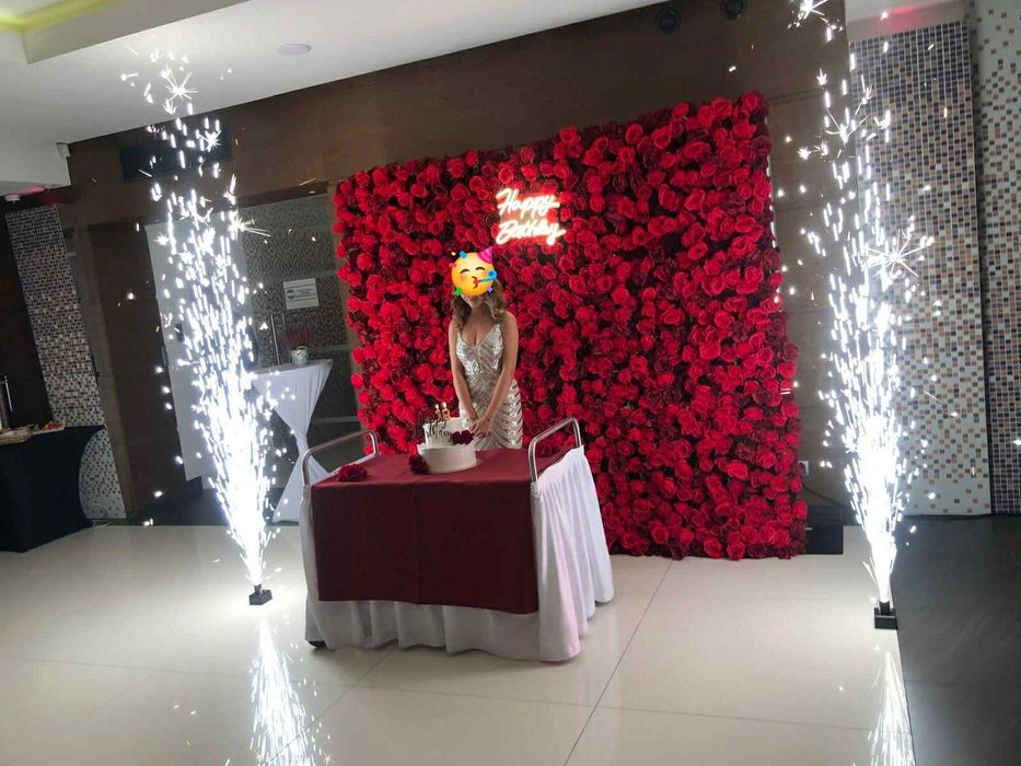 Ścianka kwiatowa 5D 240x240  Czerwone Róże  KRAKÓW  WYNAJEM !!!