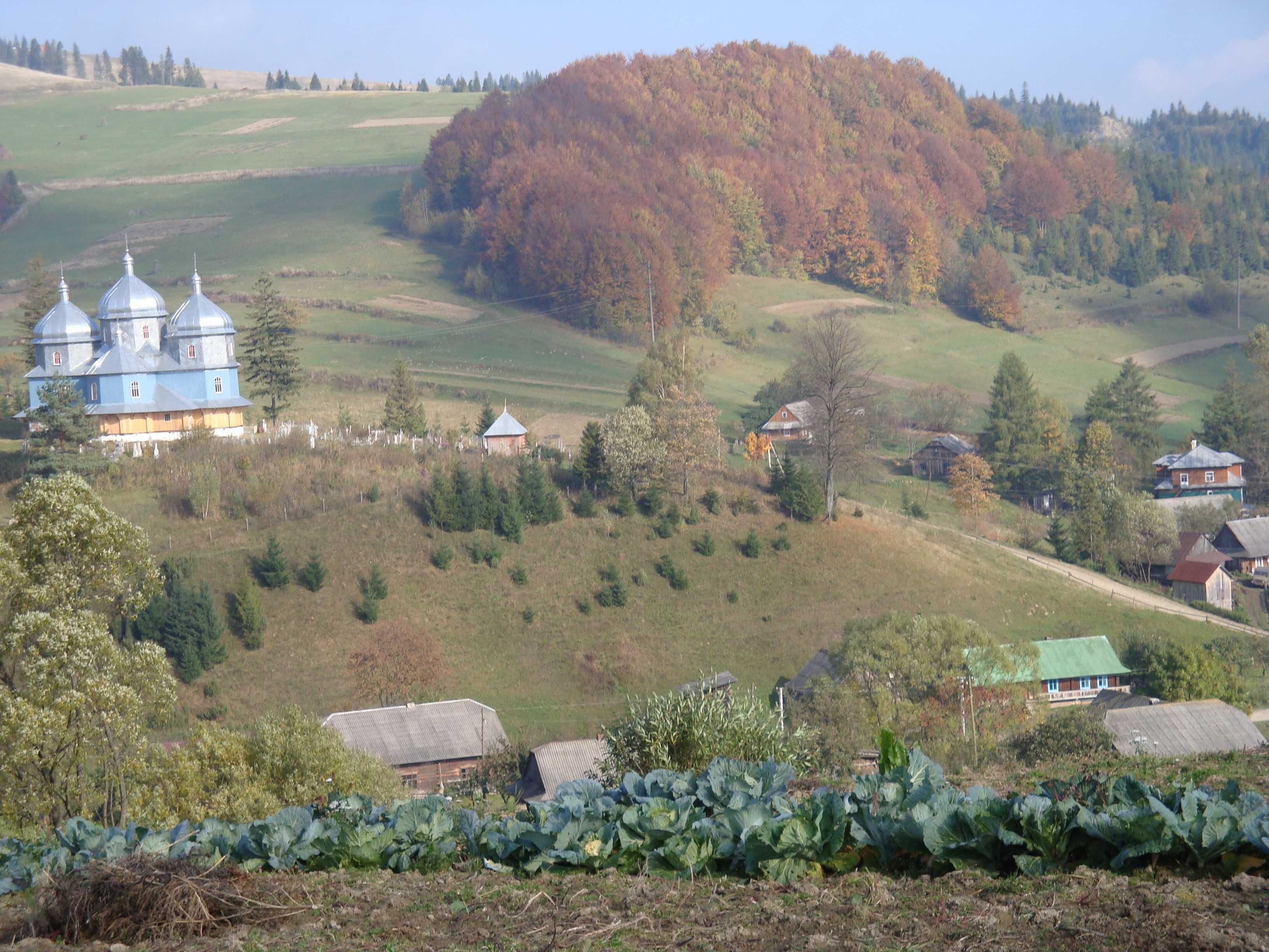 Продаж/земельна ділянка - обійстя/Турківський район/с. Мельничне