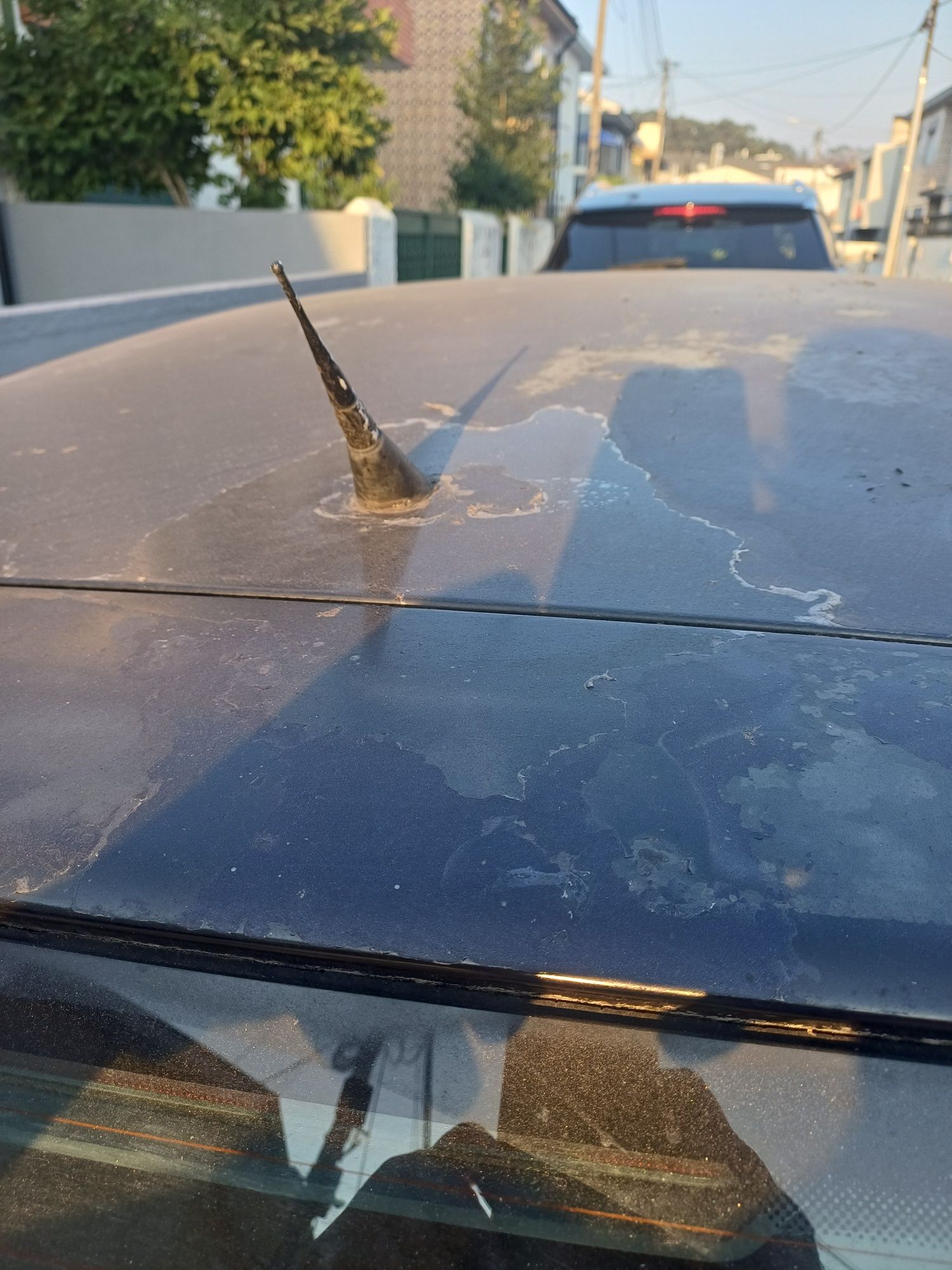 GOLF IV Edição 25 anos