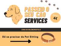 Passeio Cães / Pet Sitting