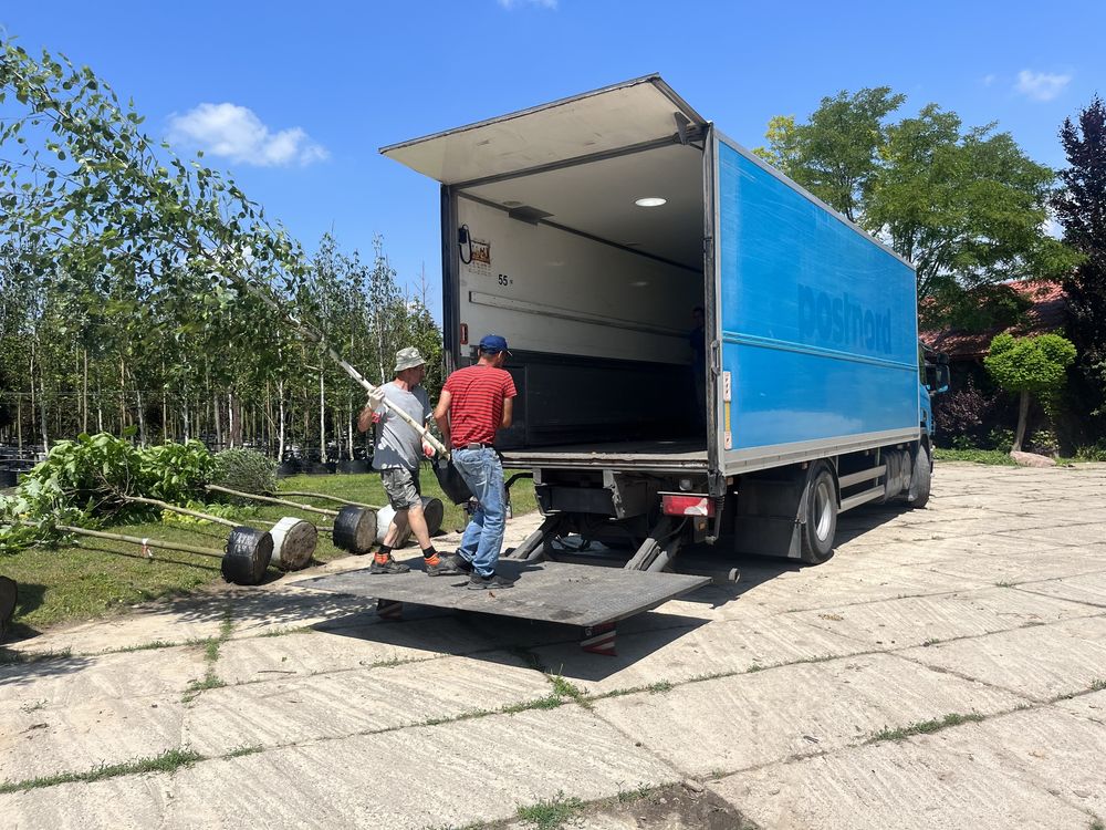 Usługi transportowe, Przewoźnik (18 ep, 8 ton) winda, transport,F-vat