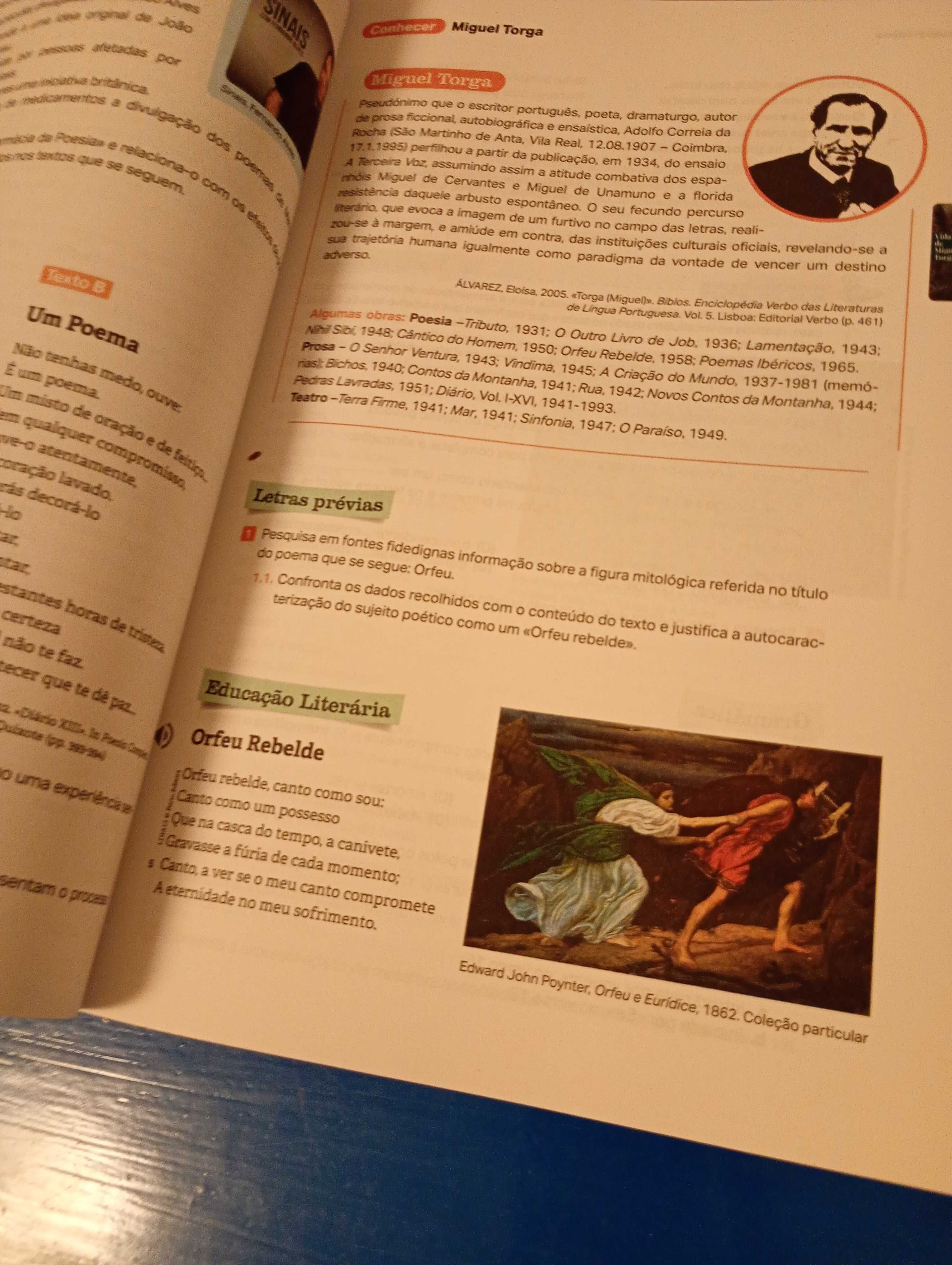Letras em dia 12 ano manual