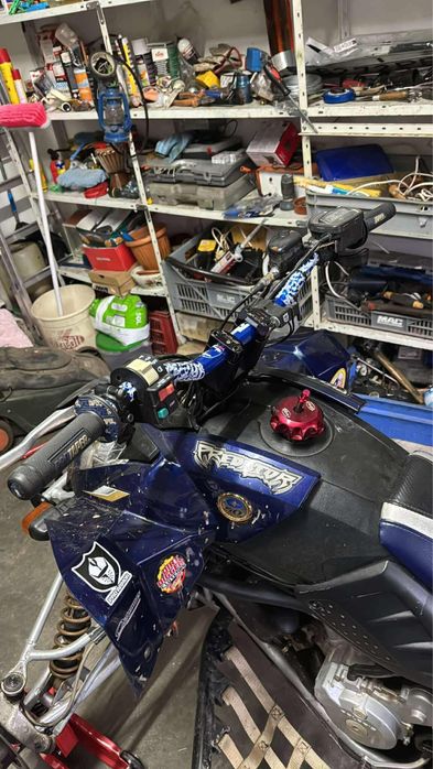 Polaris predator 500