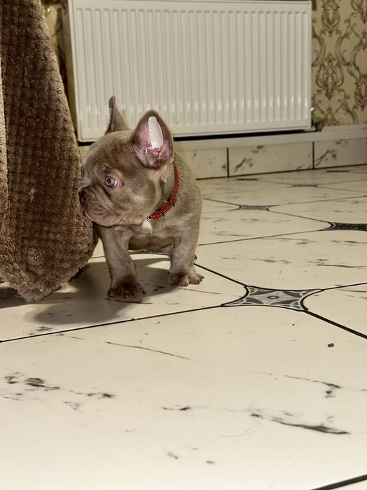 Супер якість хлопчик