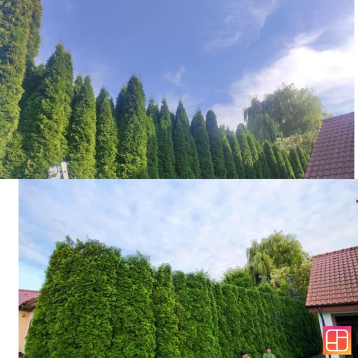 Kompleksowa Pielęgnacja ogrodów