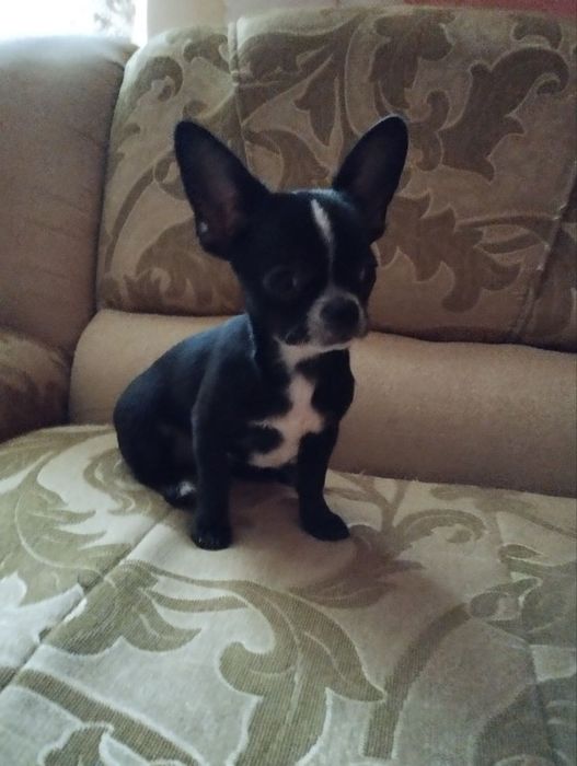 Чорно білий хлопчик