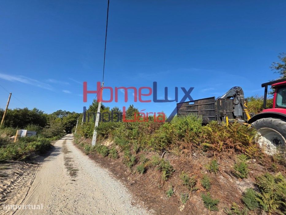 Terreno para venda em Castro Daire