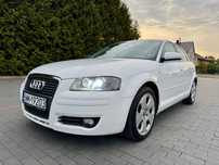 Audi A3 Audi A3 8P 2.0 TDI