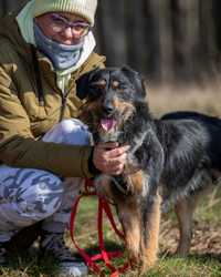 Rio - wesoły, przyjazny psiak do adopcji