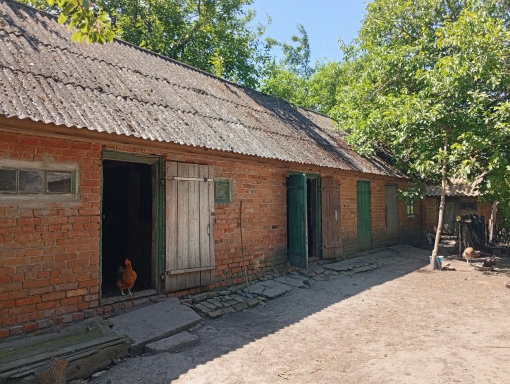 Будинок біля річки Сула в с. Мацківці
