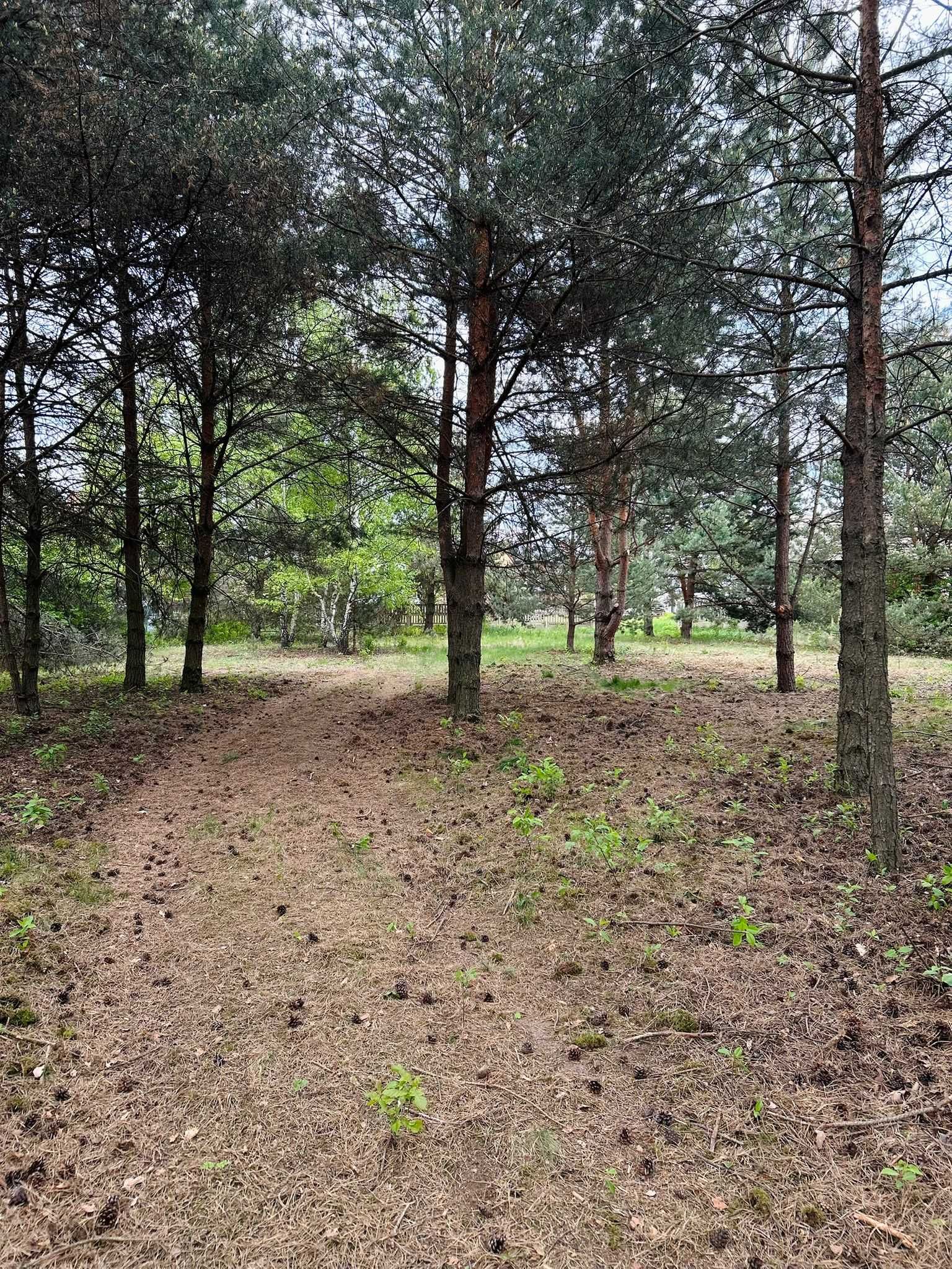 Działka na sprzedaż 6661m², Myszków