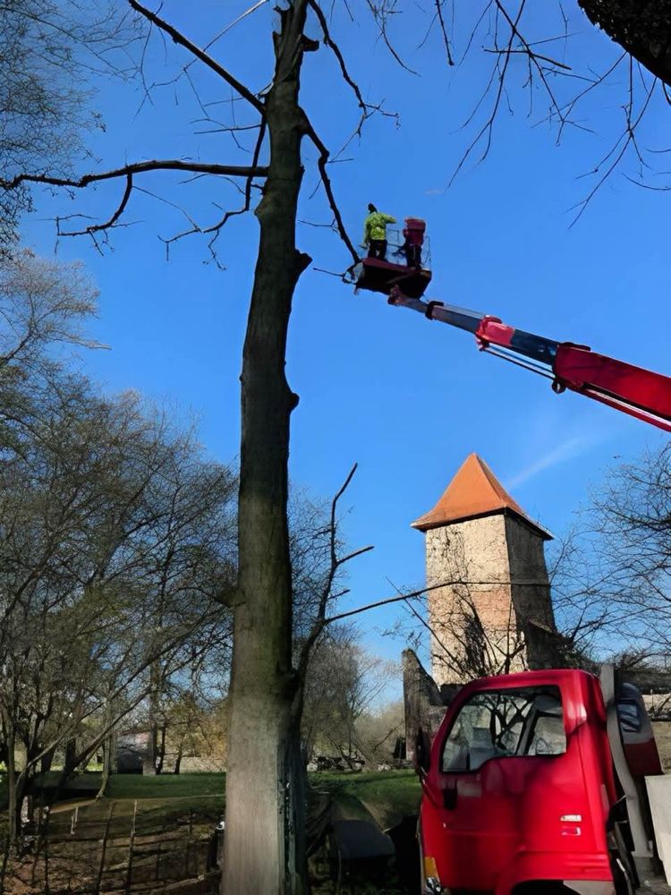 Pielęgnacja ogrodów ,wycinka drzew,przycinanie żywopłotów,koszenie