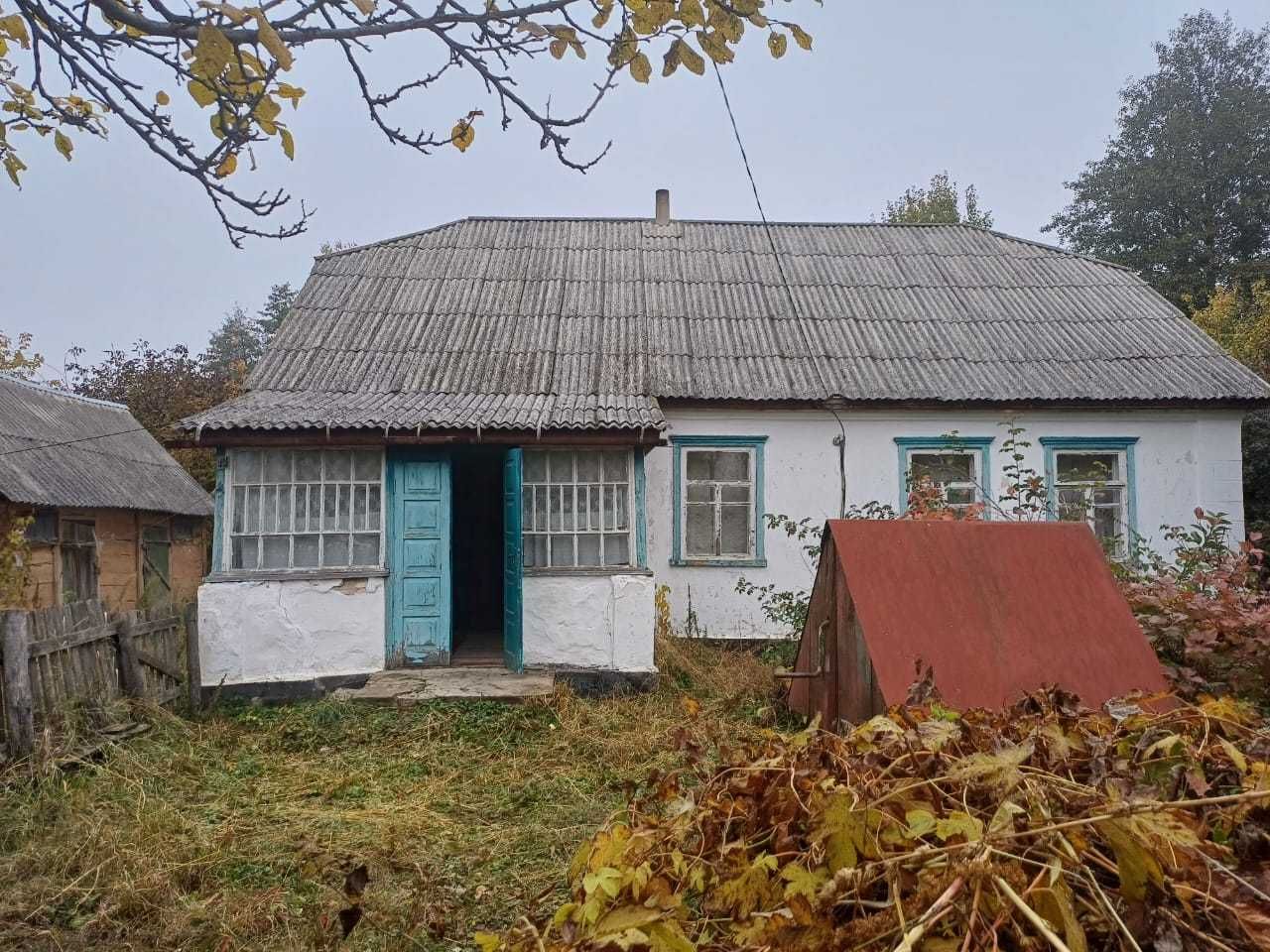Будинок  , с. Більківці, Коростишівського р-ну, Житомирська обл.