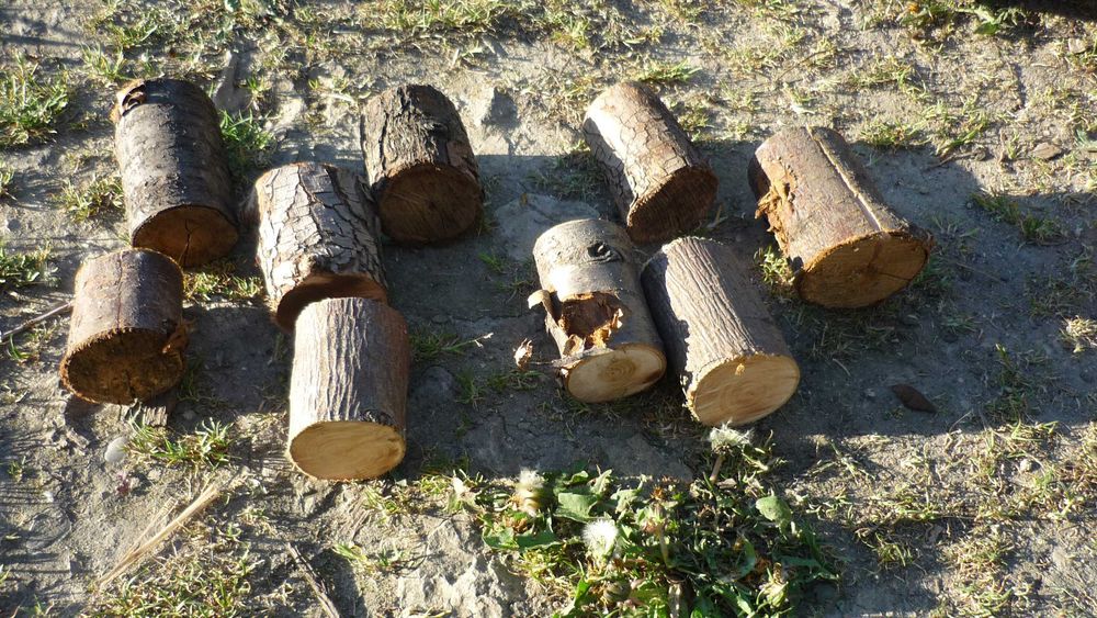 drzewo drewno owocowe do grilla grillowania wędzenia kociołka brykiet