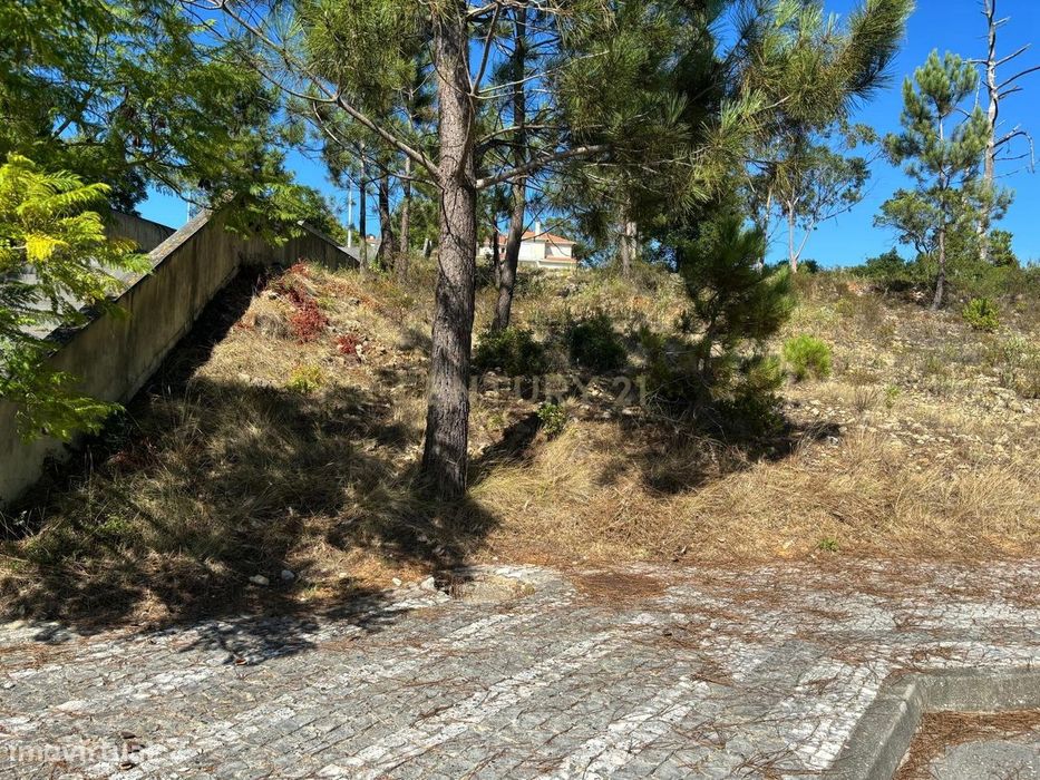 Lote de terreno para construção em Pombal