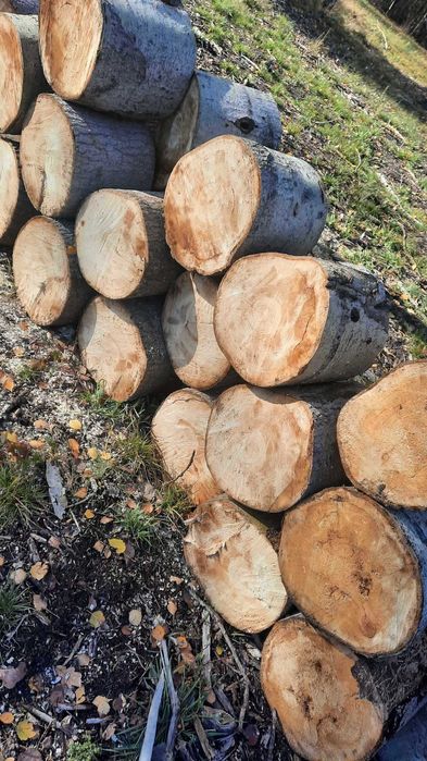 Tanie drewno na opał