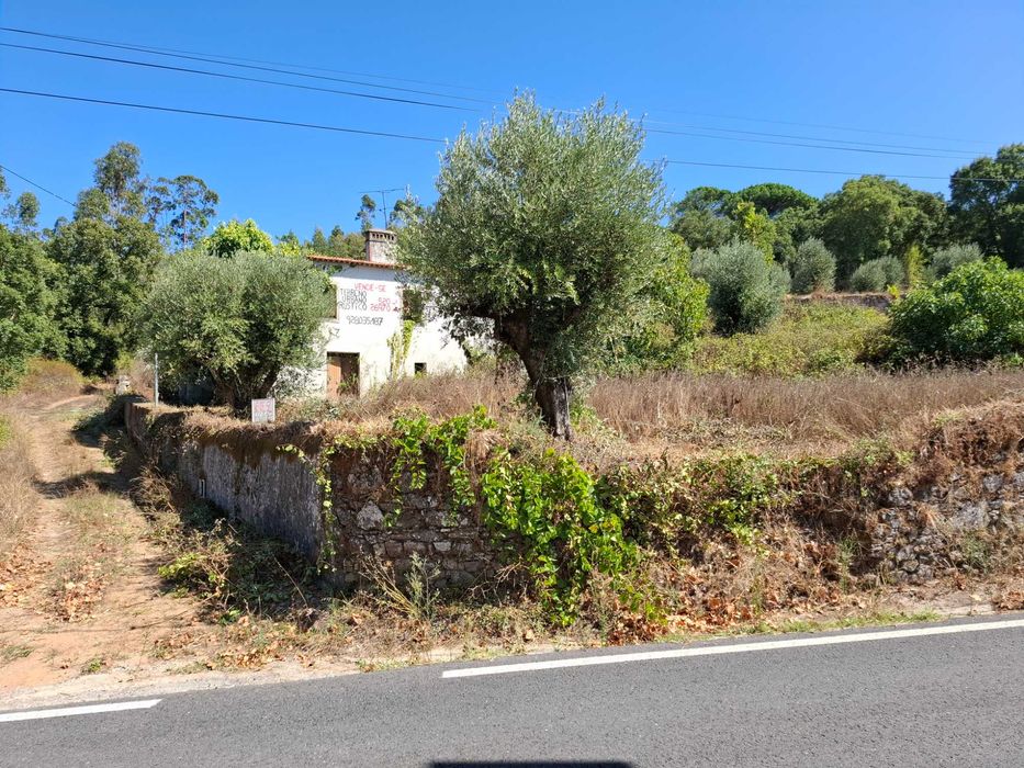 Quinta urbana (520m2) e rustica (26970m2) em Ceras / Tomar
