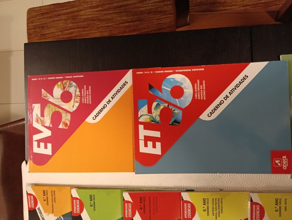 Livros de atividades/fichas 6 ano