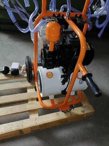 Amarres e máquinas de ordenha