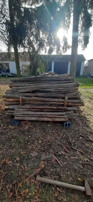 Stemple budowlane sosna 100 sztuk