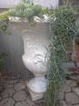 Conjunto vasos jardim