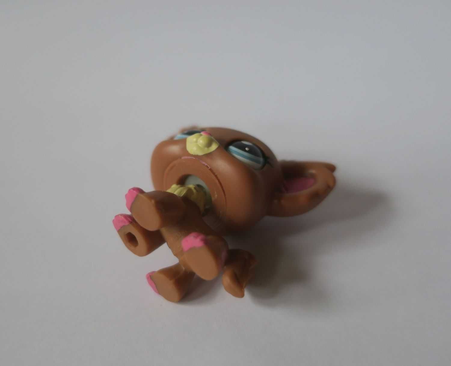 Piesek Chihuahua littlest pet shop
