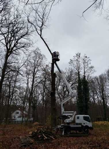 Prace ogrodnicze, wycinka drzew - Gorzów +70km