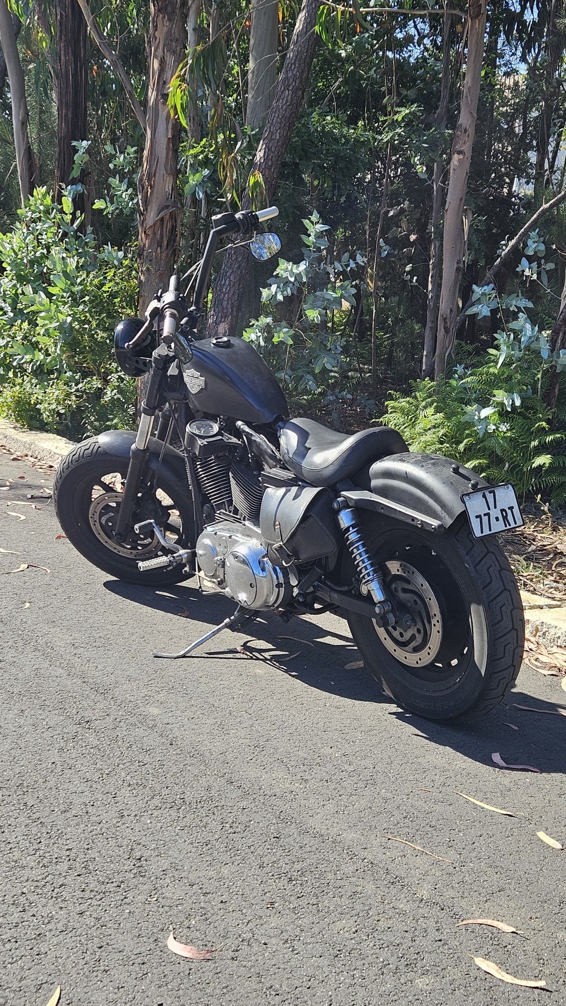 Harley Davidson XL 1200 Custom (ano 2001)