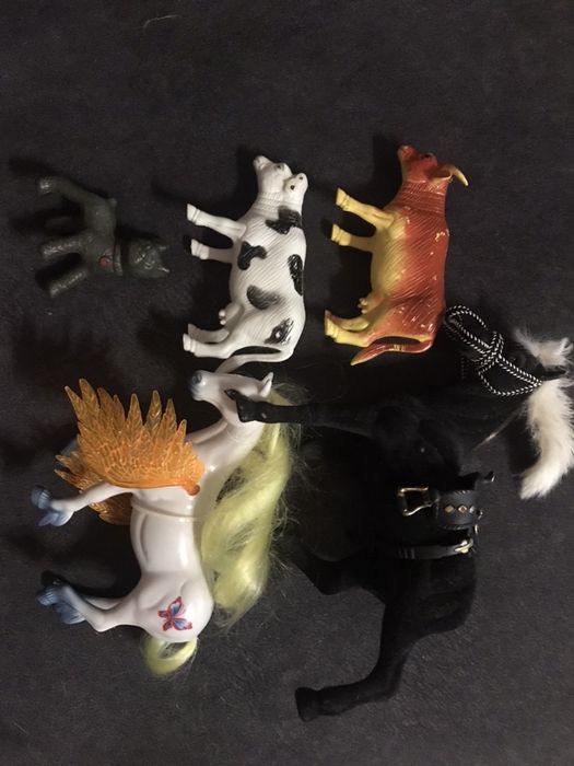 Домашние животные лошадки