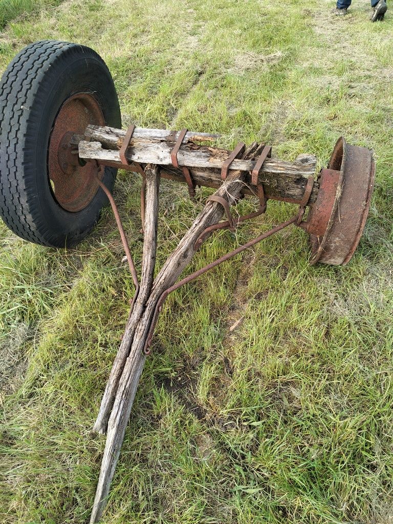 Kunice do wozu całe z kołami