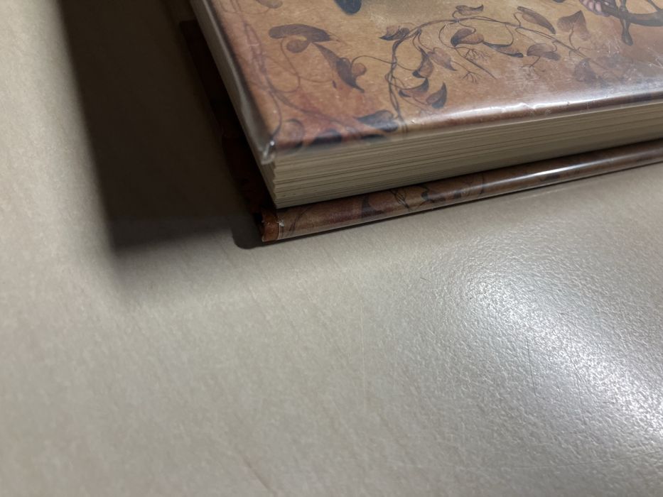 Szczygielski „Arka Czasu”