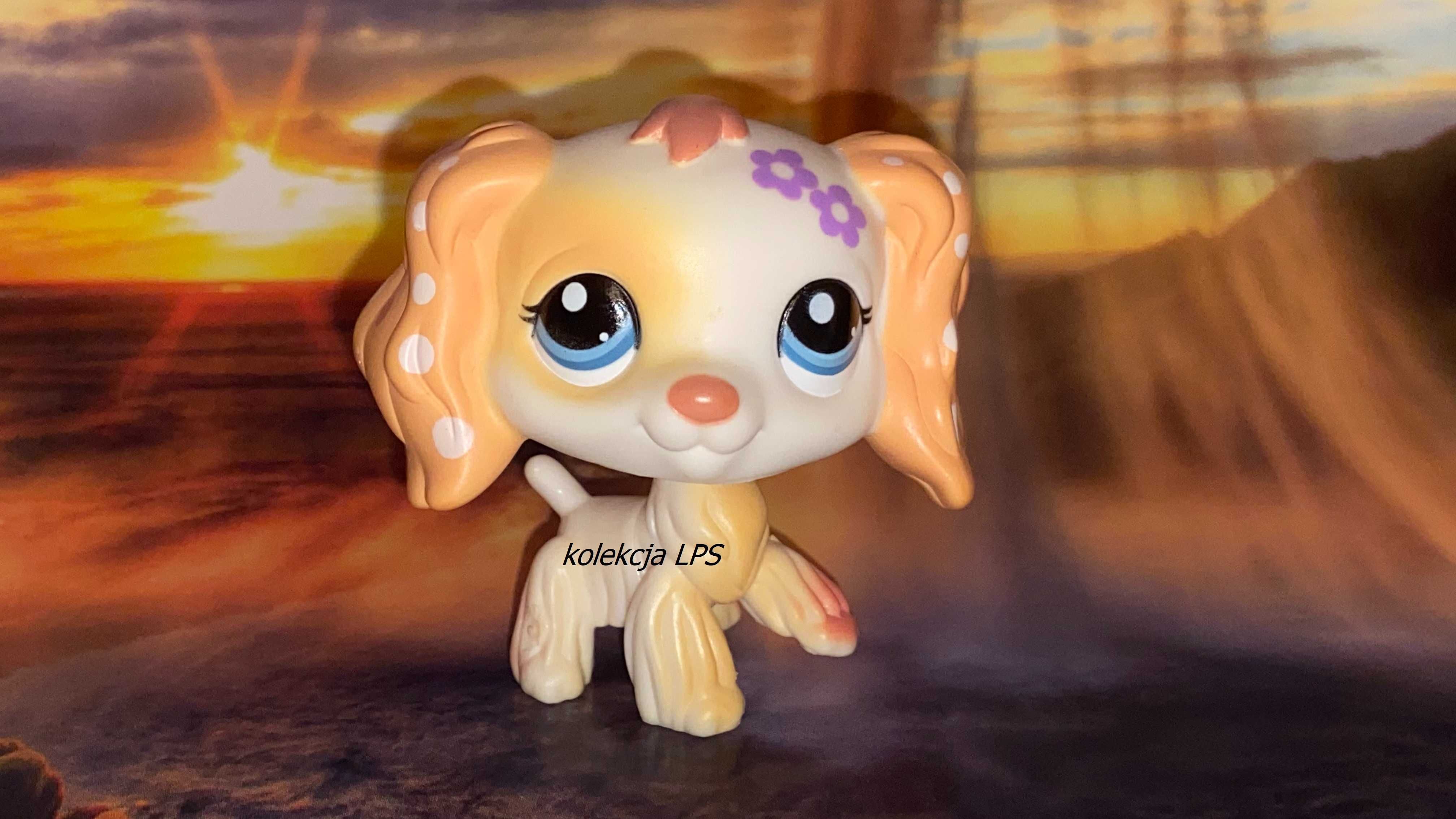 LPS Littlest Pet Shop spaniel #1615 oryginalny oryginał UNIKAT POP