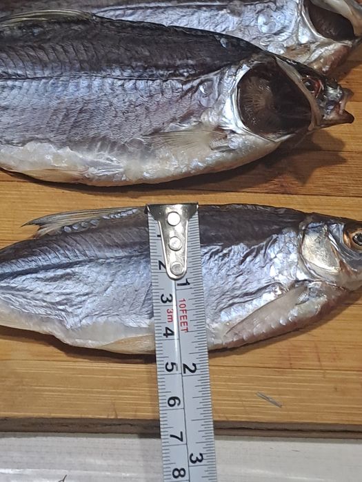 Продам тарань,  плотва  чищена