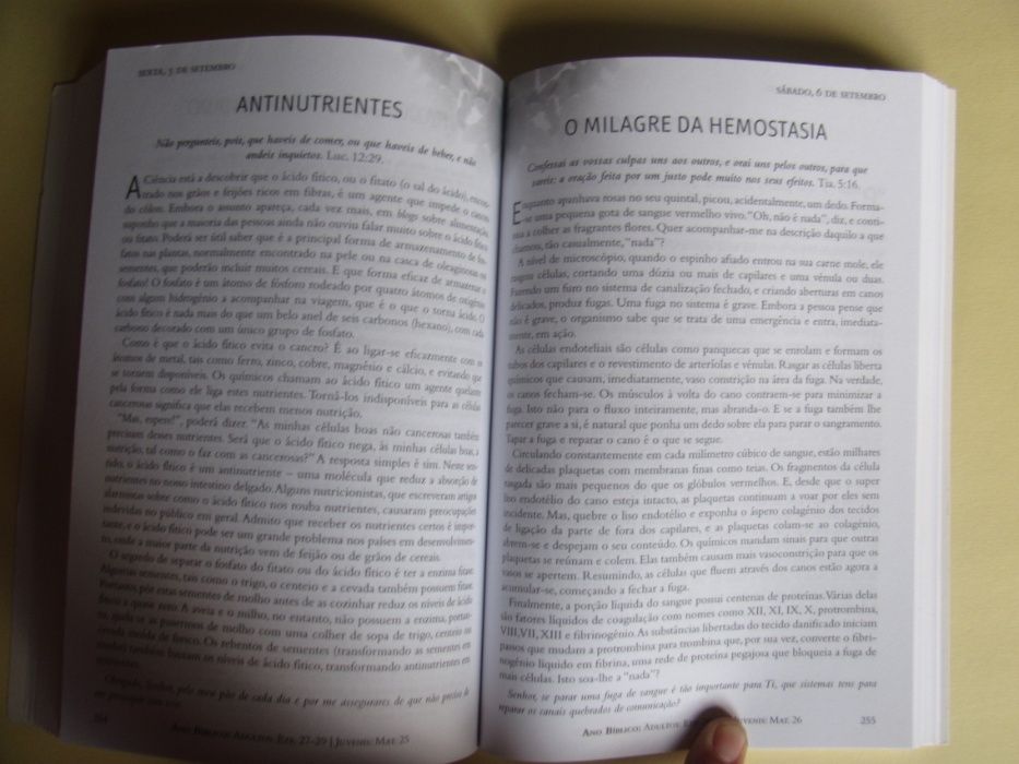 O Deus das Maravilhas - Meditações Matinais de David A. Steen