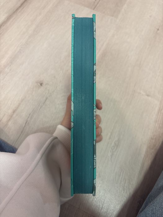 Книга «26-поверховий будинок на дереві»