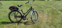 Rower Giant Trooper 28